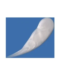 DCL Dermatologic Alpha Beta Gel Exfoliant 9 DCL Dermatologic Alpha Beta Gel Exfoliant -Elemis Shop Alpha Beta Gel Exfoliant add3 37659 1555 general