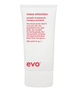 Evo Mane Attention Protein Treatment