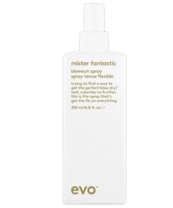Evo Mister Fantastic Blowout Spray