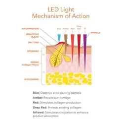 Dr Dennis Gross Spectralite FaceWare Pro 9 Dr Dennis Gross Spectralite FaceWare Pro -Elemis Shop Spectralite FaceWare Pro add2 55583 6294 general