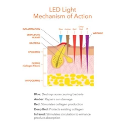 Dr Dennis Gross Spectralite FaceWare Pro 5 Dr Dennis Gross Spectralite FaceWare Pro - Image 3